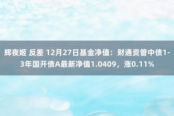 辉夜姬 反差 12月27日基金净值：财通资管中债1-3年国开债A最新净值1.0409，涨0.11%