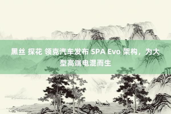 黑丝 探花 领克汽车发布 SPA Evo 架构，为大型高端电混而生