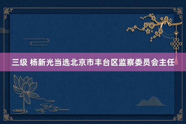 三级 杨新光当选北京市丰台区监察委员会主任