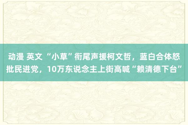 动漫 英文 “小草”衔尾声援柯文哲，蓝白合体怒批民进党，10万东说念主上街高喊“赖清德下台”