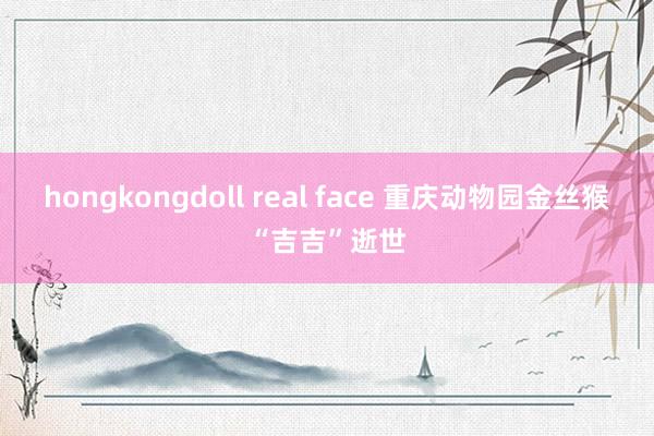 hongkongdoll real face 重庆动物园金丝猴“吉吉”逝世