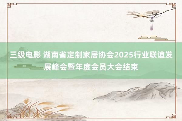 三级电影 湖南省定制家居协会2025行业联谊发展峰会暨年度会员大会结束