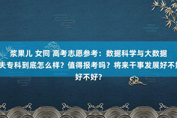 浆果儿 女同 高考志愿参考：数据科学与大数据工夫专科到底怎么样？值得报考吗？将来干事发展好不好？