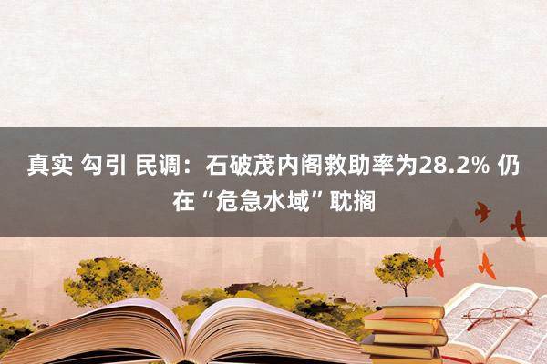 真实 勾引 民调：石破茂内阁救助率为28.2% 仍在“危急水域”耽搁