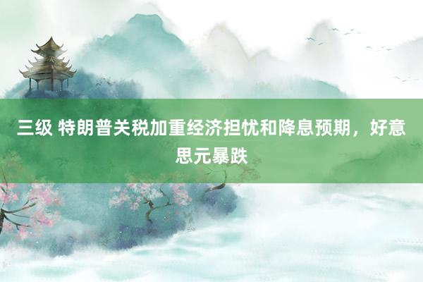 三级 特朗普关税加重经济担忧和降息预期，好意思元暴跌