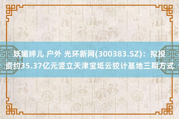 妖媚婷儿 户外 光环新网(300383.SZ)：拟投资约35.37亿元竖立天津宝坻云狡计基地三期方式
